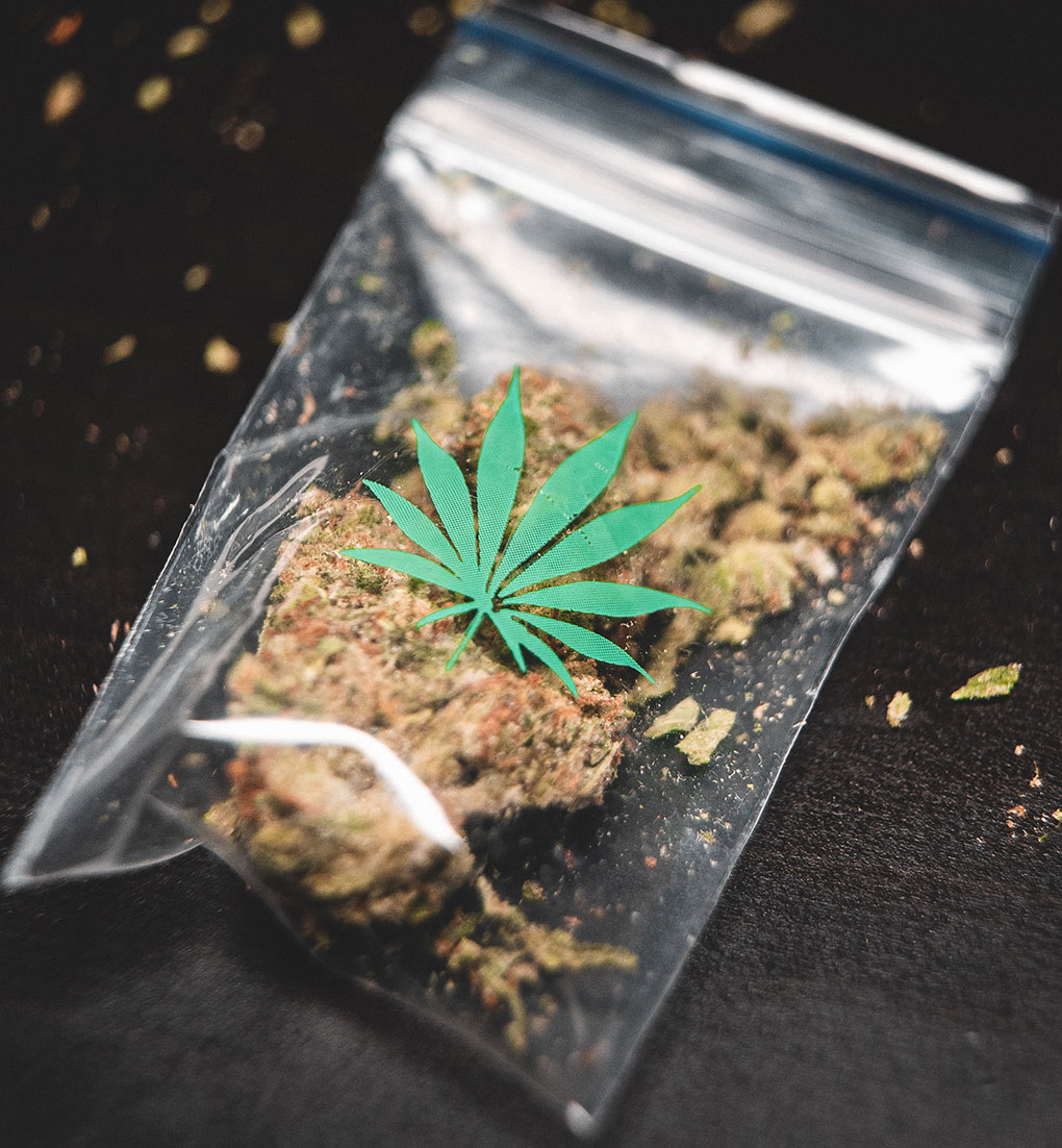 Cannabis in Zip Lock Bag